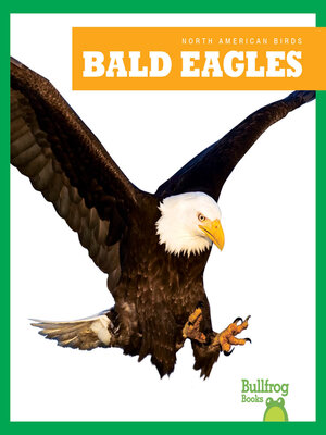 cover image of Bald Eagles